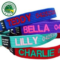 Personalised Pet Collars image 1